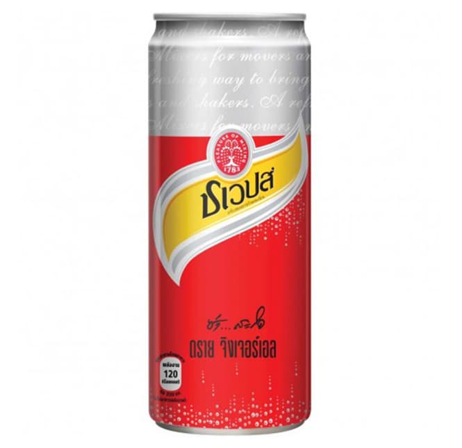 Ginger Ale Flavored Soft Drink